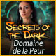 Download Secrets of the Dark: Domaine de la Peur game