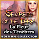 Download Secrets of the Dark: La Fleur des Ténèbres Edition Collector game