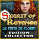 Download Spirit of Revenge: Le Puits de Florry Édition Collector game