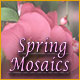 Download Spring Mosaics game