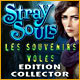 Download Stray Souls: Les Souvenirs Volés Edition Collector game