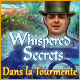 Download Whispered Secrets: Dans la Tourmente game