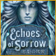 Download Echoes of Sorrow - 悲劇の残響 game