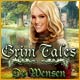 Download Grim Tales: De Wensen game