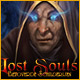 Download Lost Souls: Betoverde Schilderijen game