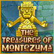 Download The Treasures Of Montezuma game