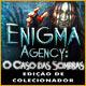 Download Enigma Agency: O Caso das Sombras Edição de Colecionador game