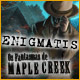 Download Enigmatis: Os Fantasmas de Maple Creek game