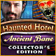 Download Haunted Hotel: Ancient Bane Collector's Edition game