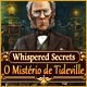 Download Whispered Secrets: O Mistério de Tideville game