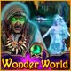 Download Wonder World game