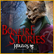 Download Bonfire Stories: Herzlos game