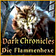 Download Dark Chronicles: Die Flammenhexe game