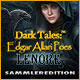 Download Dark Tales: Edgar Allen Poes Lenore Sammleredition game