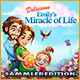 Download Delicious: Emily's Miracle of Life Sammleredition game