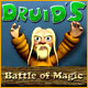 Download Druids: Battle of Magic game