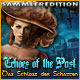 Download Echoes of the Past: Das Schloss der Schatten Sammleredition game