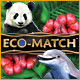 Download Eco-Match game