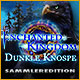 Download Enchanted Kingdom: Dunkle Knospe Sammleredition game