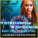 Download Enchanted Kingdom: Gift und Vergeltung Sammleredition game