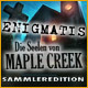 Download Enigmatis: Die Seelen von Maple Creek Sammleredition game