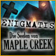 Download Enigmatis: Die Seelen von Maple Creek game