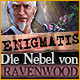 Download Enigmatis: Die Nebel von Ravenwood game