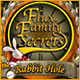 Download Flux Family Secrets: The Rabbit Hole game