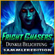 Download Fright Chasers: Dunkle Belichtung Sammleredition game