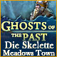 Download Ghosts of the Past: Die Skelette von Meadows Town game