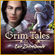 Download Grim Tales: Der Zeitreisende game