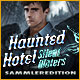 Download Haunted Hotel: Silent Waters Sammleredition game