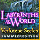 Download Labyrinths of the World: Verlorene Seelen Sammleredition game