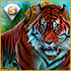 Download Labyrinths of the World: Die wilde Seite Sammleredition game