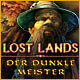 Download Lost Lands: Der Dunkle Meister game