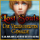 Download Lost Souls: Die verzauberten Gemälde Sammleredition game