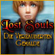 Download Lost Souls: Die verzauberten Gemälde game