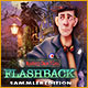 Download Mystery Case Files: Flashback Sammleredition game