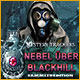 Download Mystery Trackers: Nebel über Blackhill Sammleredition game