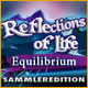 Download Reflections of Life: Equilibrium Sammleredition game