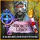 Download Royal Detective: Geborgtes Leben Sammleredition game