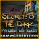 Download Secrets of the Dark: Pyramide der Nacht Sammleredition game