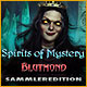 Download Spirits of Mystery: Blutmond Sammleredition game