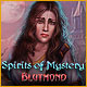 Download Spirits of Mystery: Blutmond game