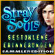 Download Stray Souls: Gestohlene Erinnerungen Sammleredition game