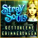 Download Stray Souls: Gestohlene Erinnerungen game