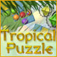 Download Tropical Puzzle game