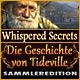 Download Whispered Secrets: Die Geschichte von Tideville Sammleredition game