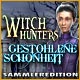 Download Witch Hunters: Gestohlene Schönheit Sammleredition game