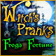 Download Witch's Pranks: Frog's Fortune game